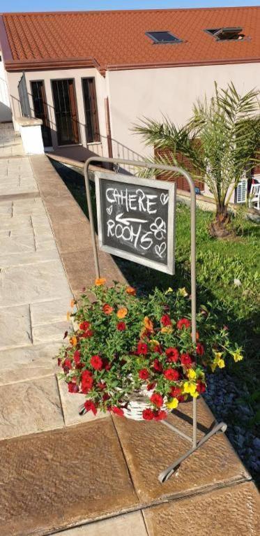 B&B Stella Del Cilento Di Anna Botti Agropoli Esterno foto